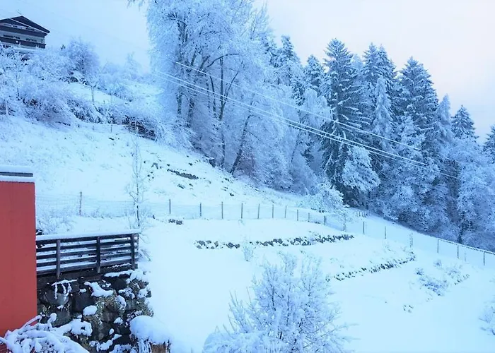 Forstbauer Διαμέρισμα *